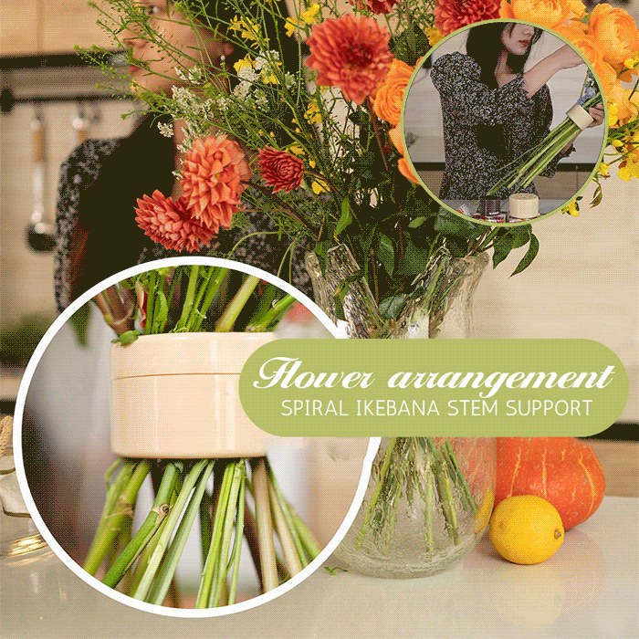 🔥gardening-promotion-60-off🌙spiral-ikebana-stem-holder