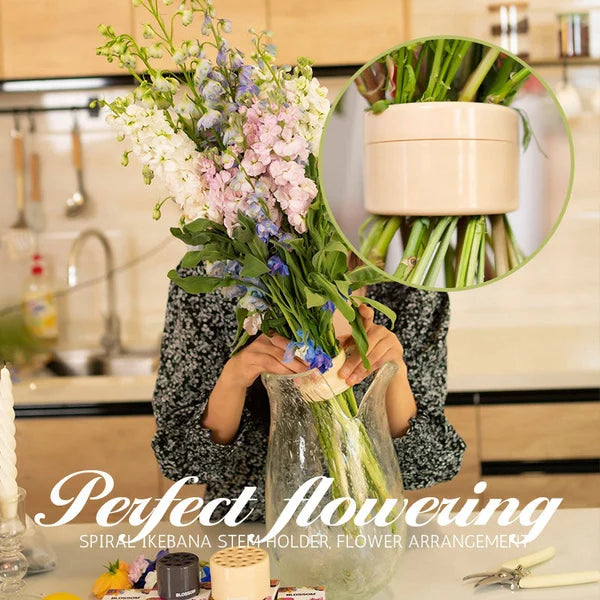 🔥gardening-promotion-60-off🌙spiral-ikebana-stem-holder
