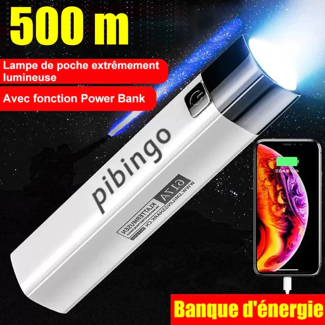 2-in-1 Ultra Bright Flashlight Power Bank